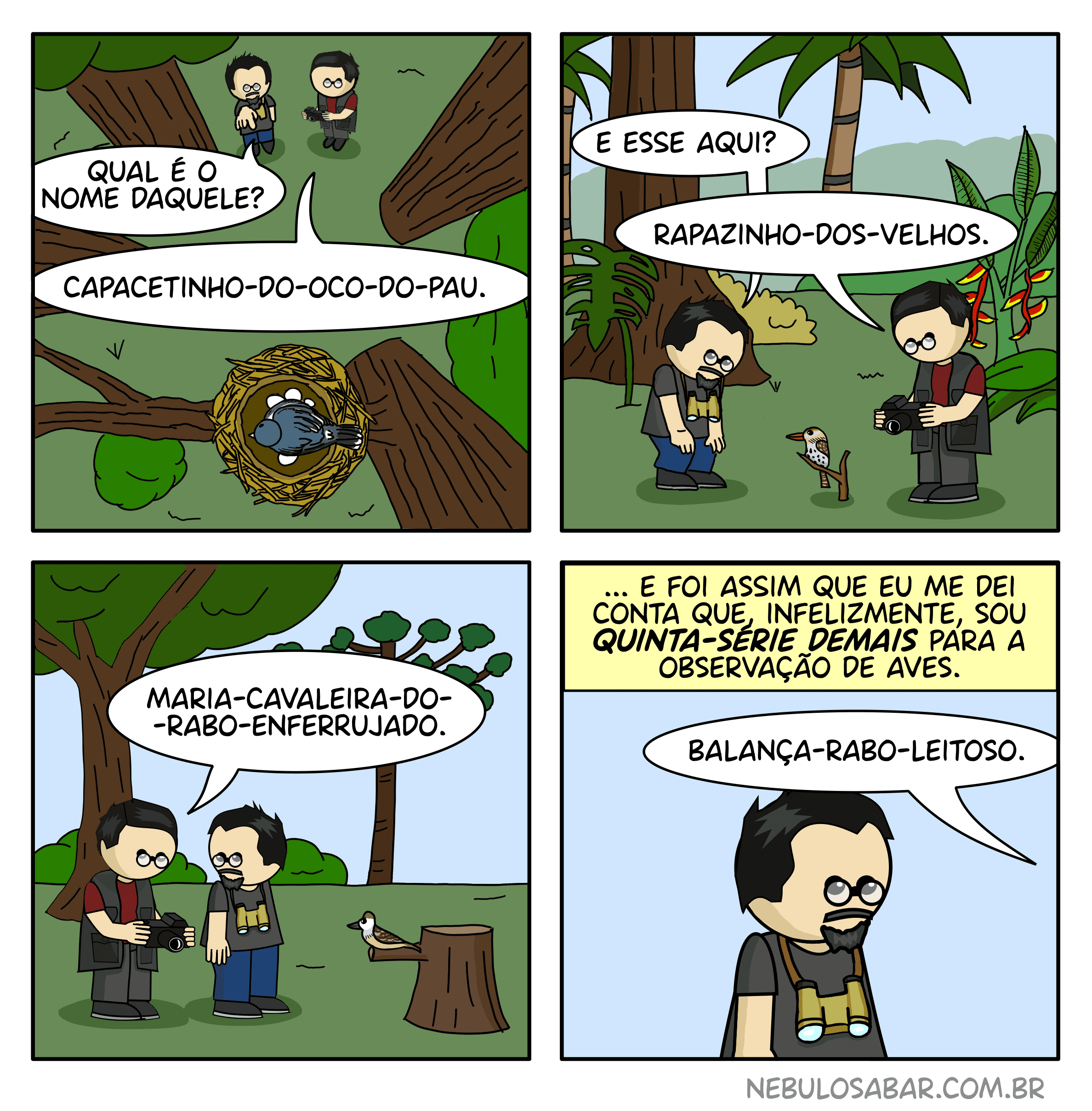 Tirinha: Observação de aves